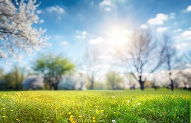 Bright sunny spring day with blooming flowers, green grass, and trees in soft focus under a blue sky with scattered clouds.